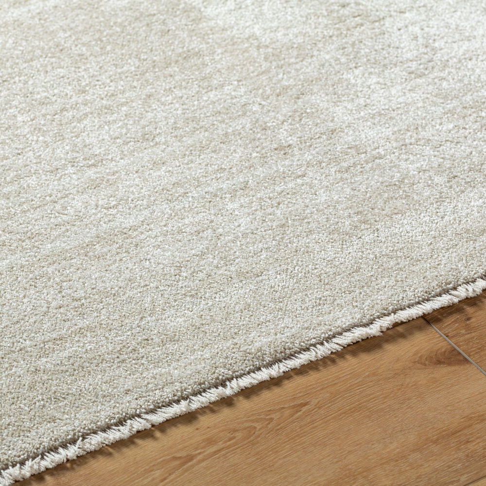 Rojin Machine Woven Rug