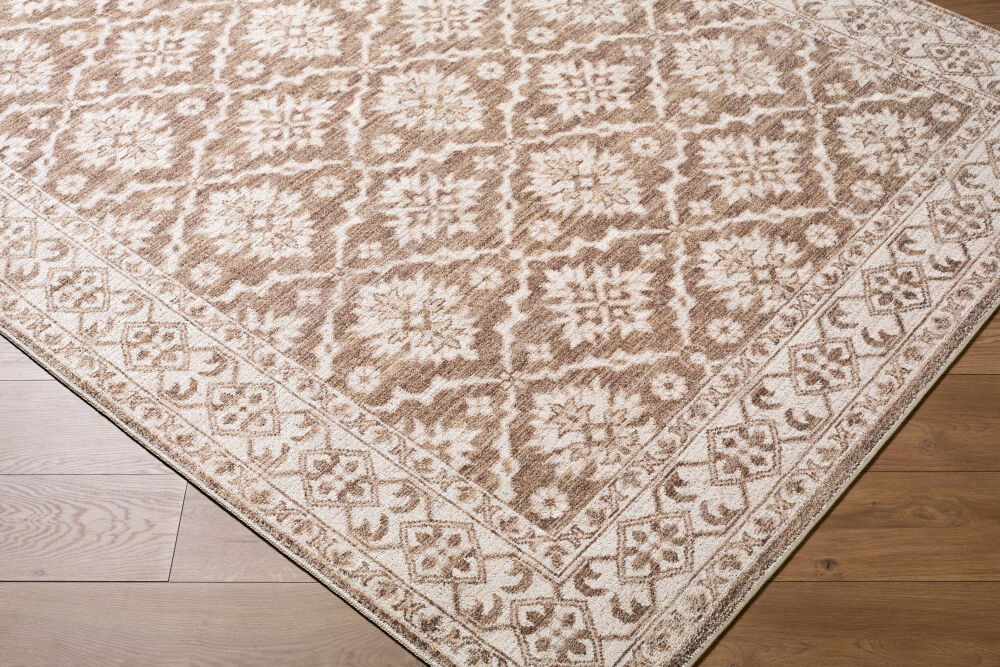 Aram Machine Woven Rug