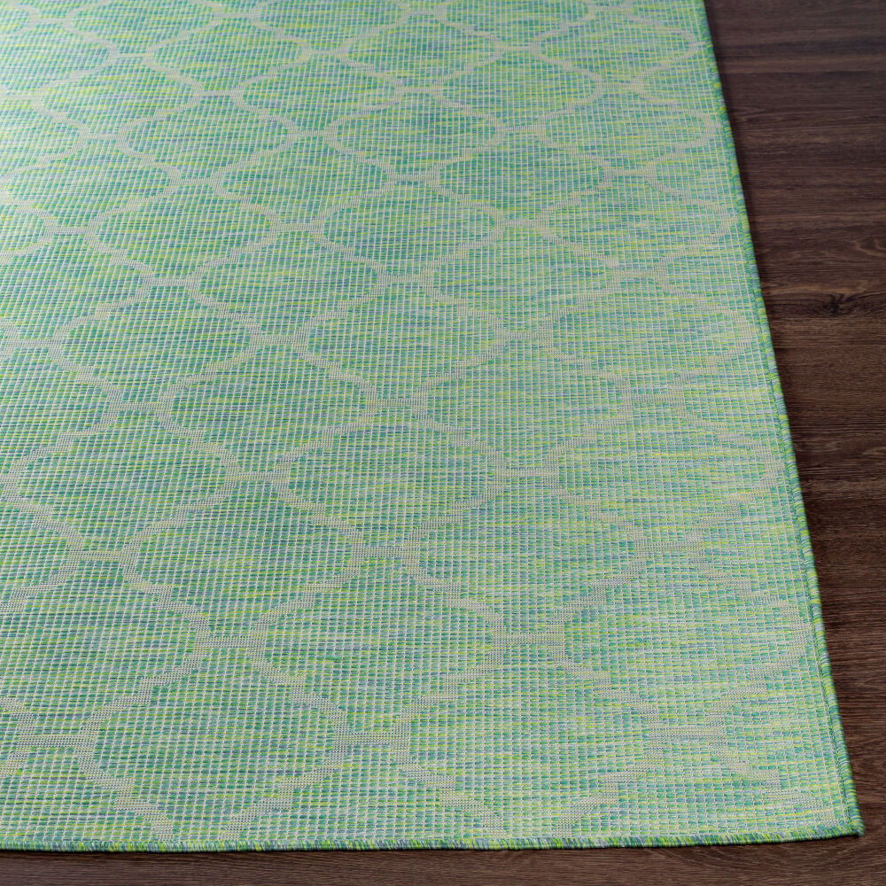 Pasadena Machine Woven Rug