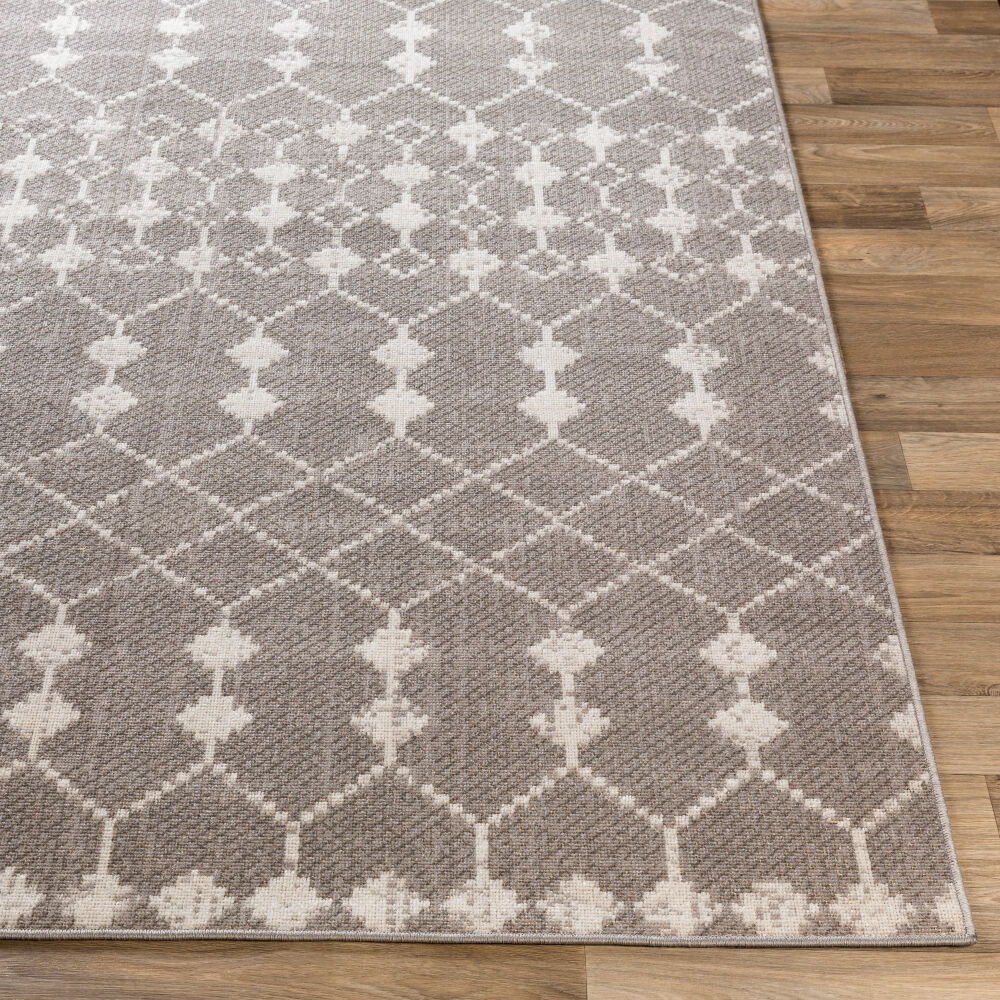 Rafetus Machine Woven Rug
