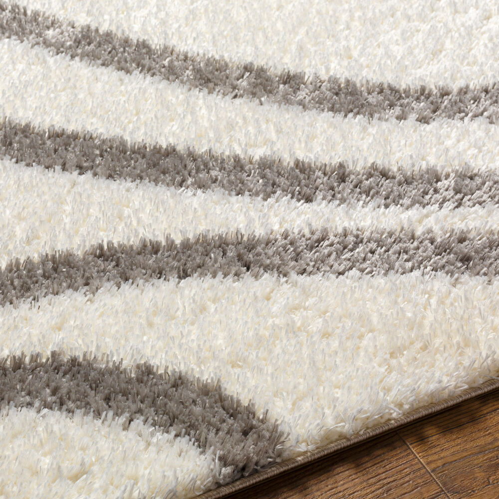 Cloudy Shag Machine Woven Rug