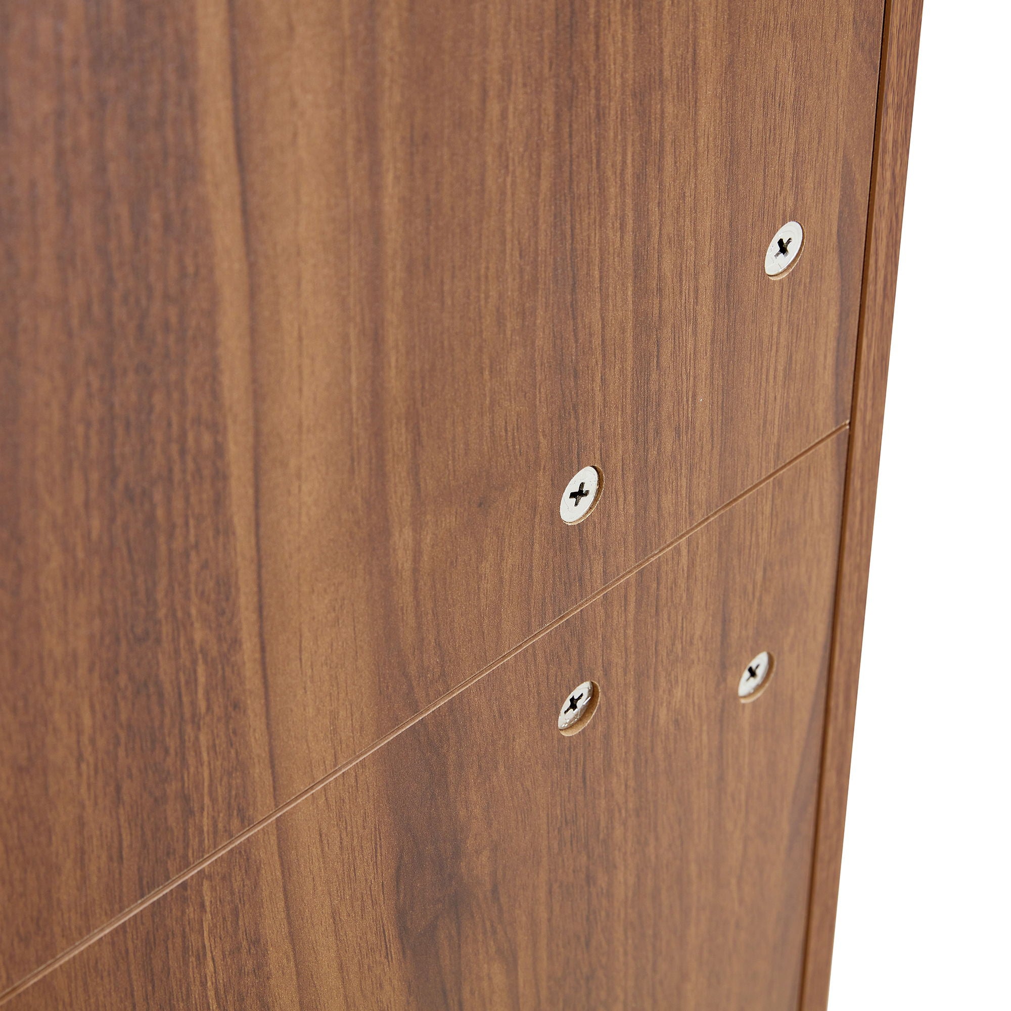 Multifunctional Modern Minimalist Shoe Cabinet