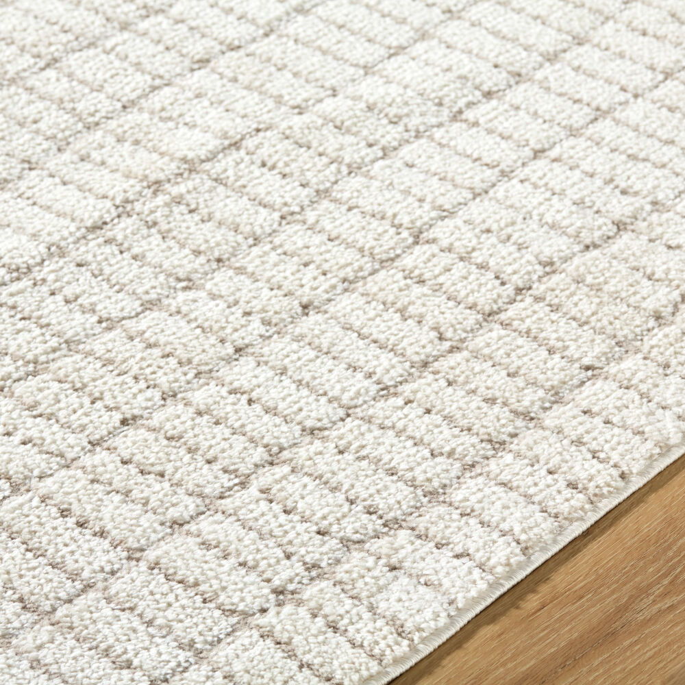 Cascade Machine Woven Rug