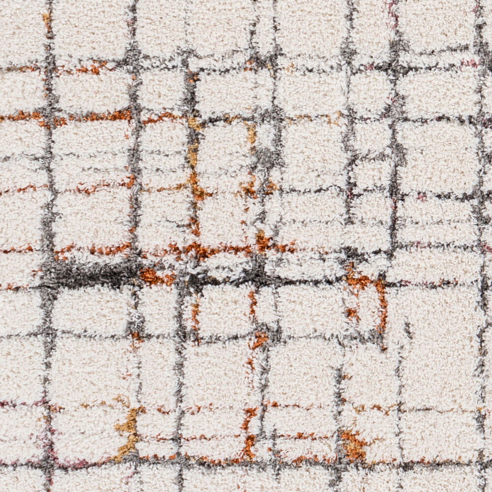 Polaris Machine Woven Rug