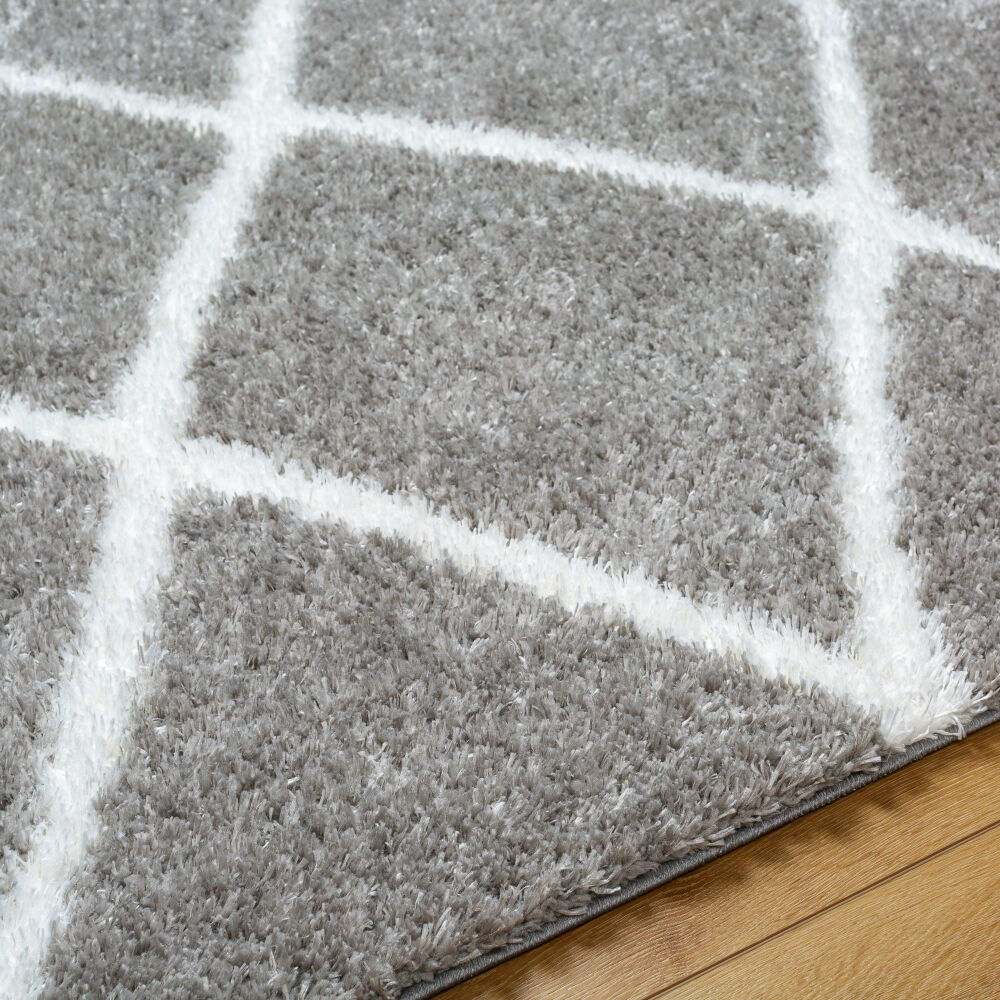 Cloudy Shag Machine Woven Rug