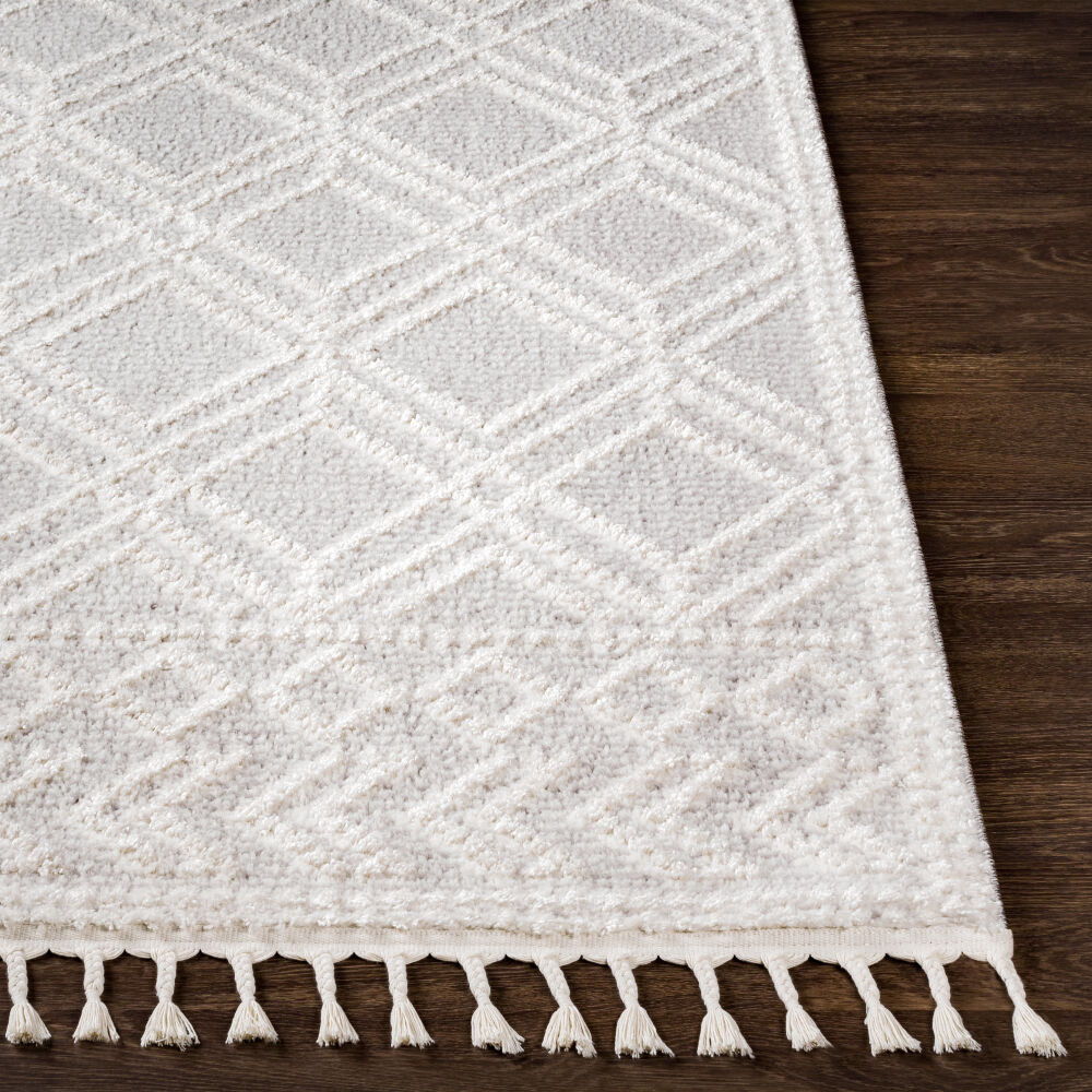 Valencia Machine Woven Rug