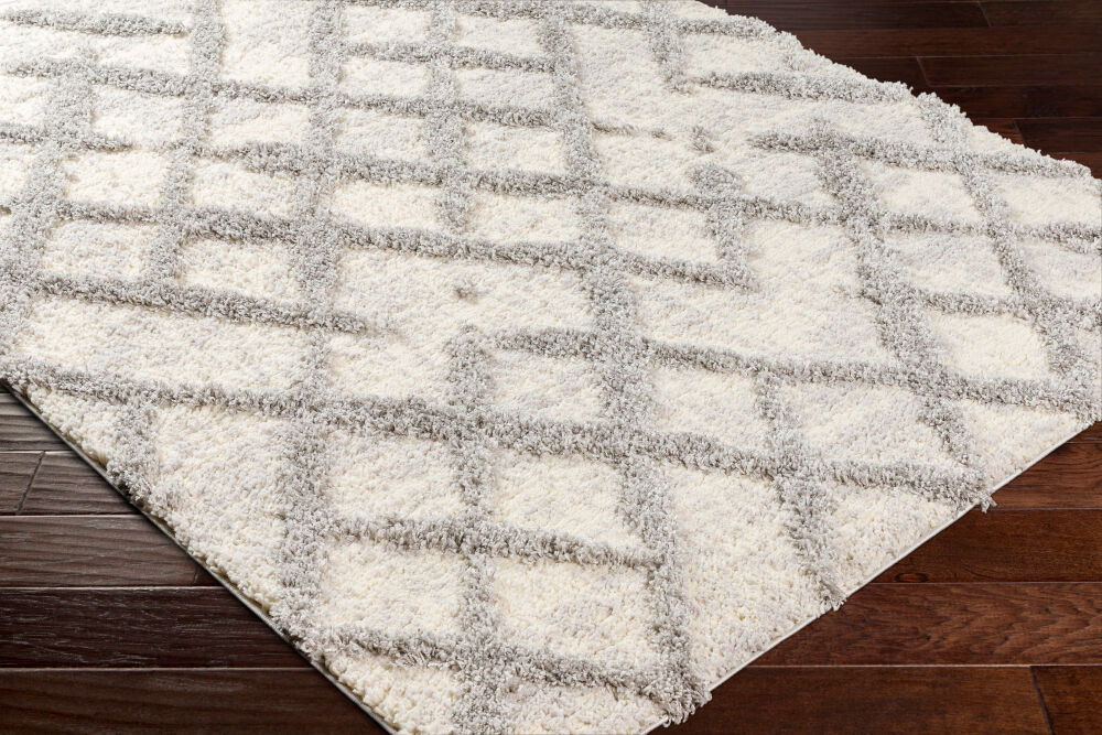 Everton Machine Woven Rug