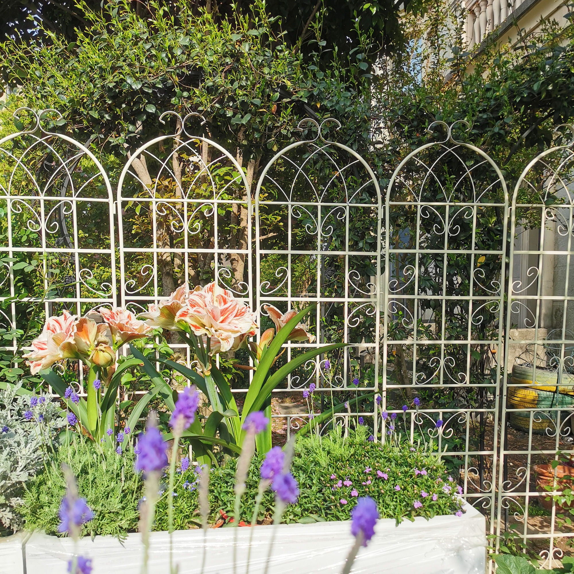 Metal Garden Rustproof Trellis For Climbing Plants Outdoor Flower Support