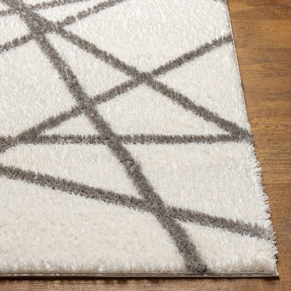 Cloudy Shag Machine Woven Rug
