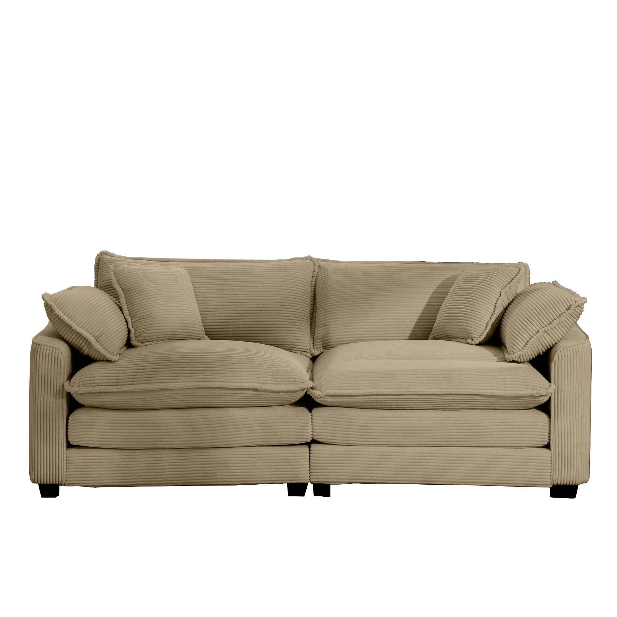 Modern 2 Seater With 4 Pillows, Upholstered Deep Seating Loveseat