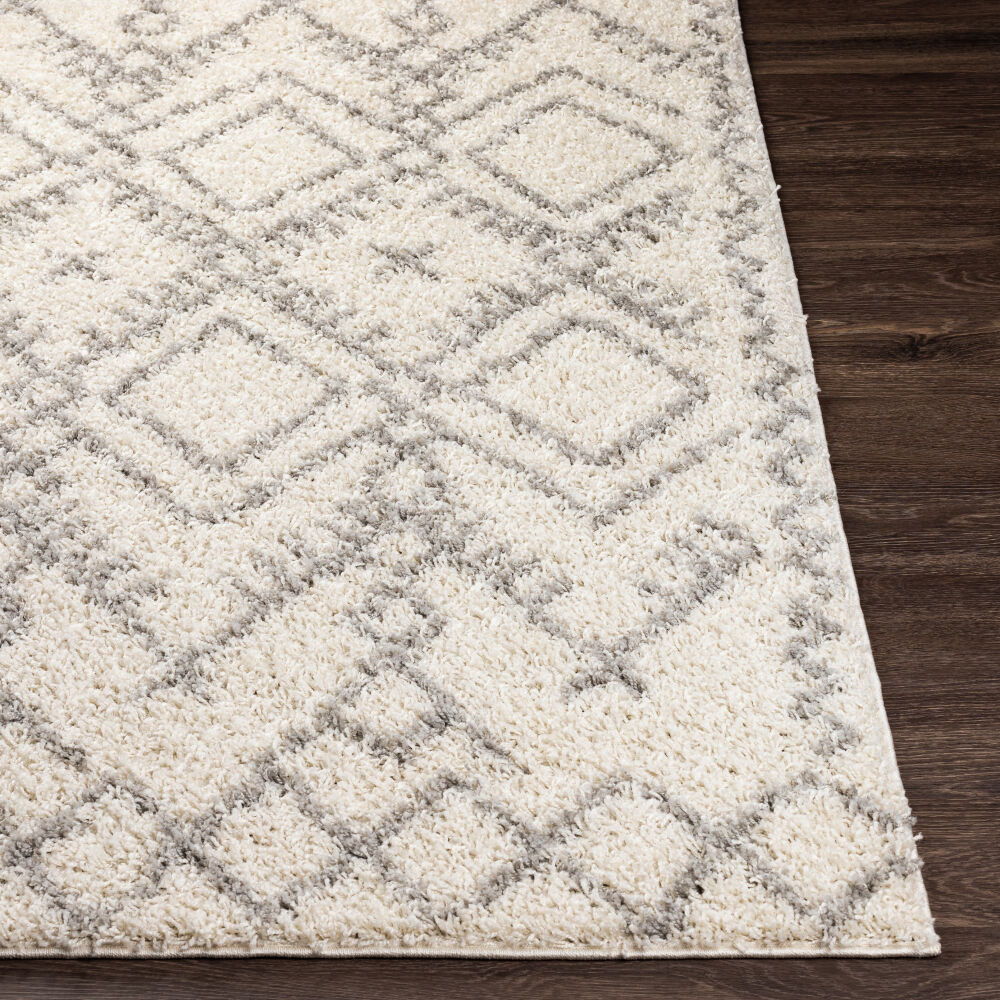 Taza Shag Machine Woven Rug