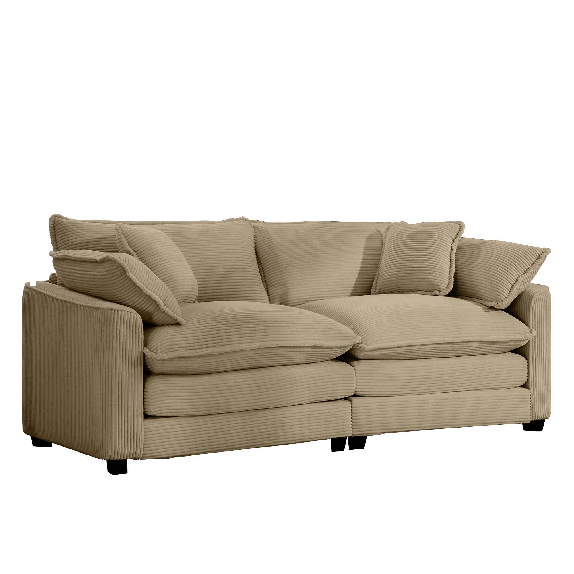 Modern 2 Seater With 4 Pillows, Upholstered Deep Seating Loveseat