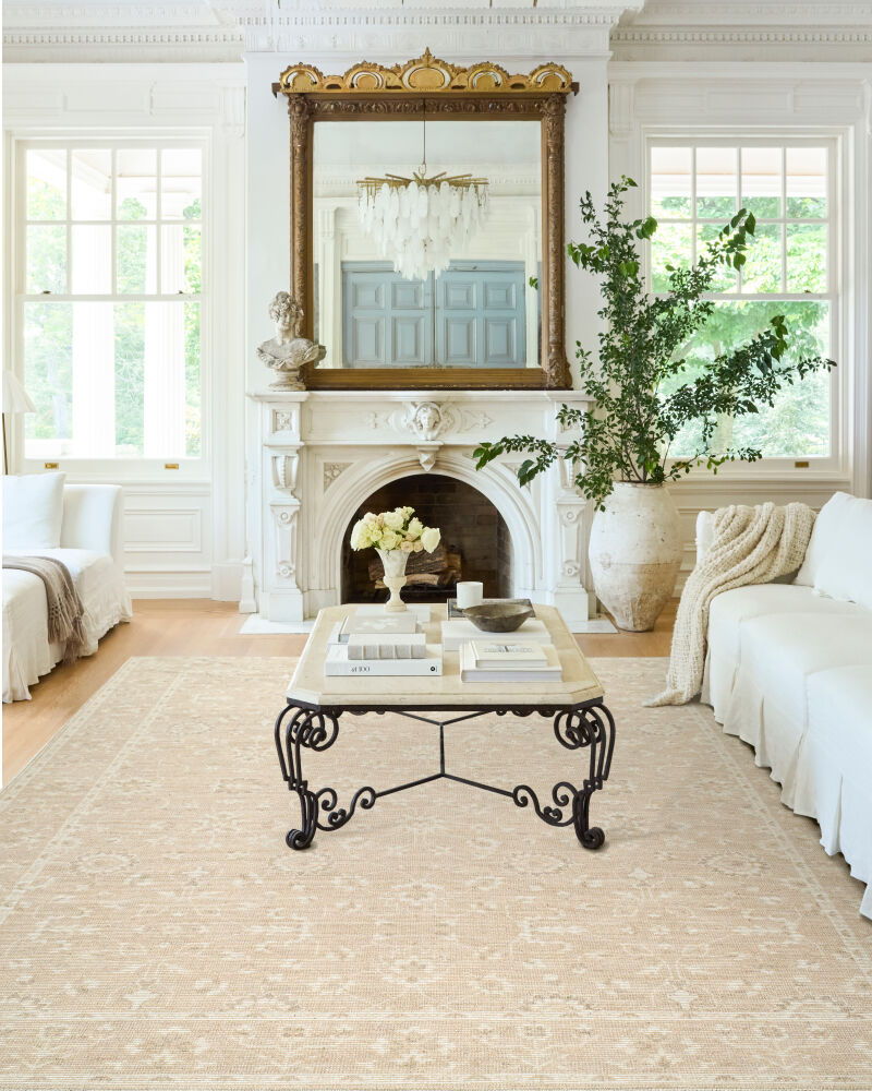 Asha Machine Woven Rug