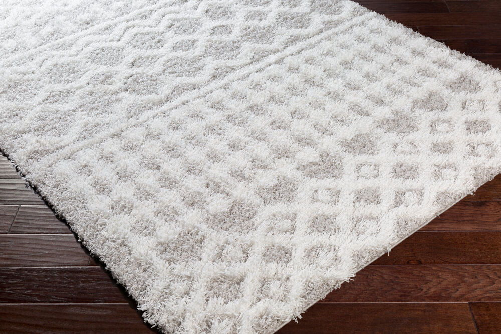 Urban Shag Machine Woven Rug