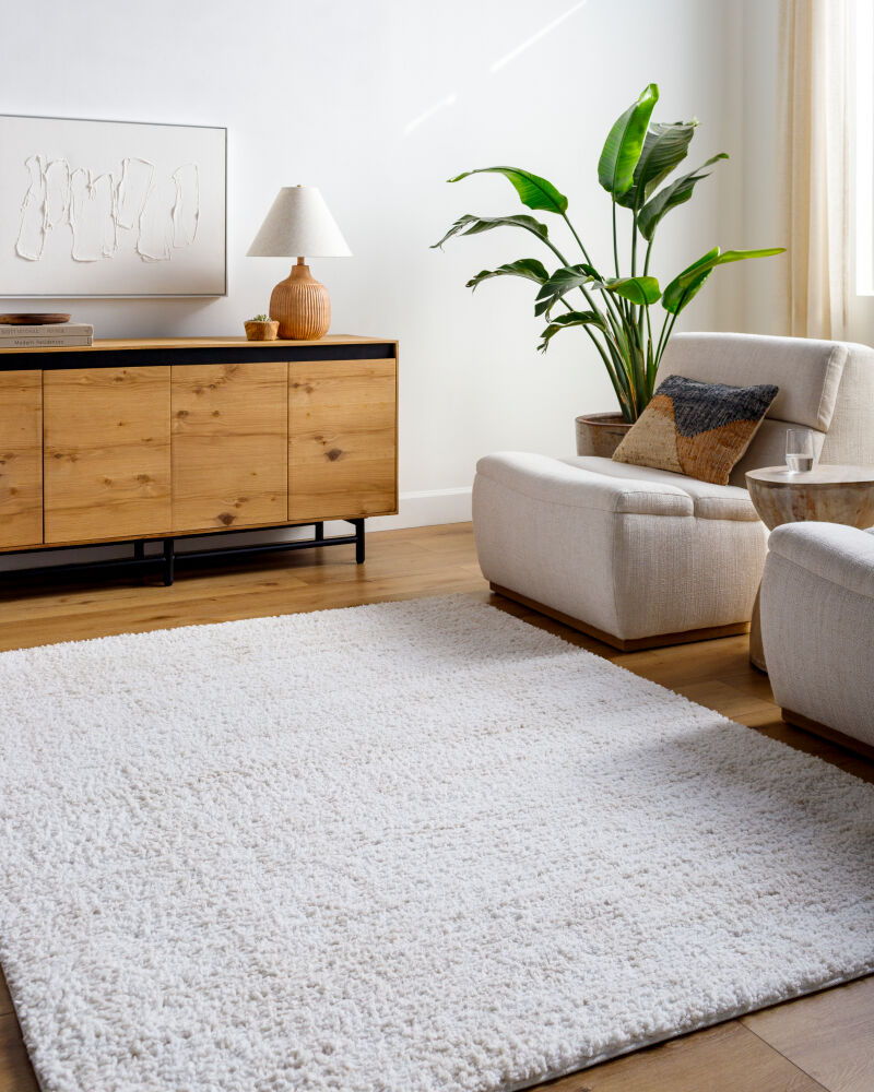 Sacramento Shag Machine Woven Rug