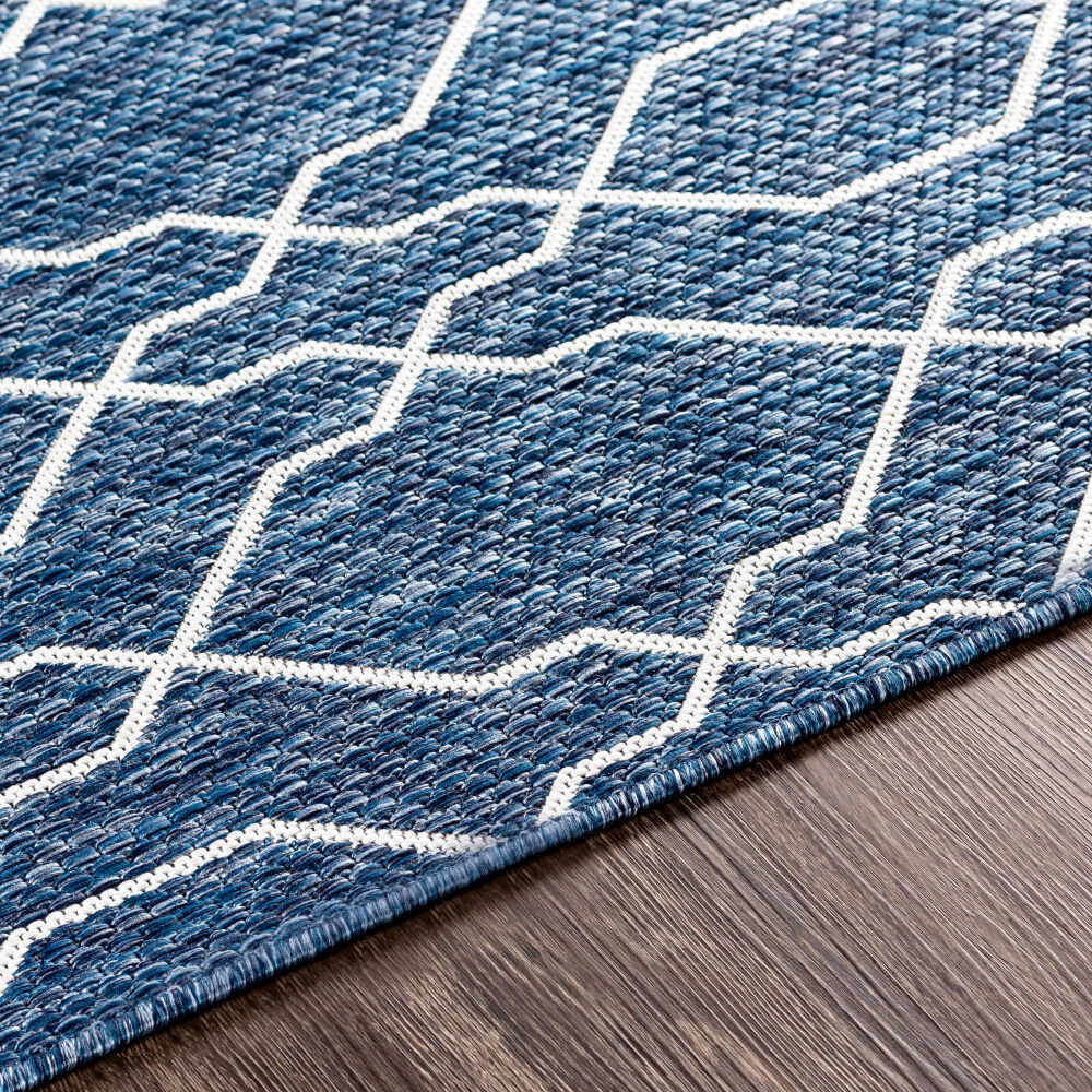 Eagean Machine Woven Rug