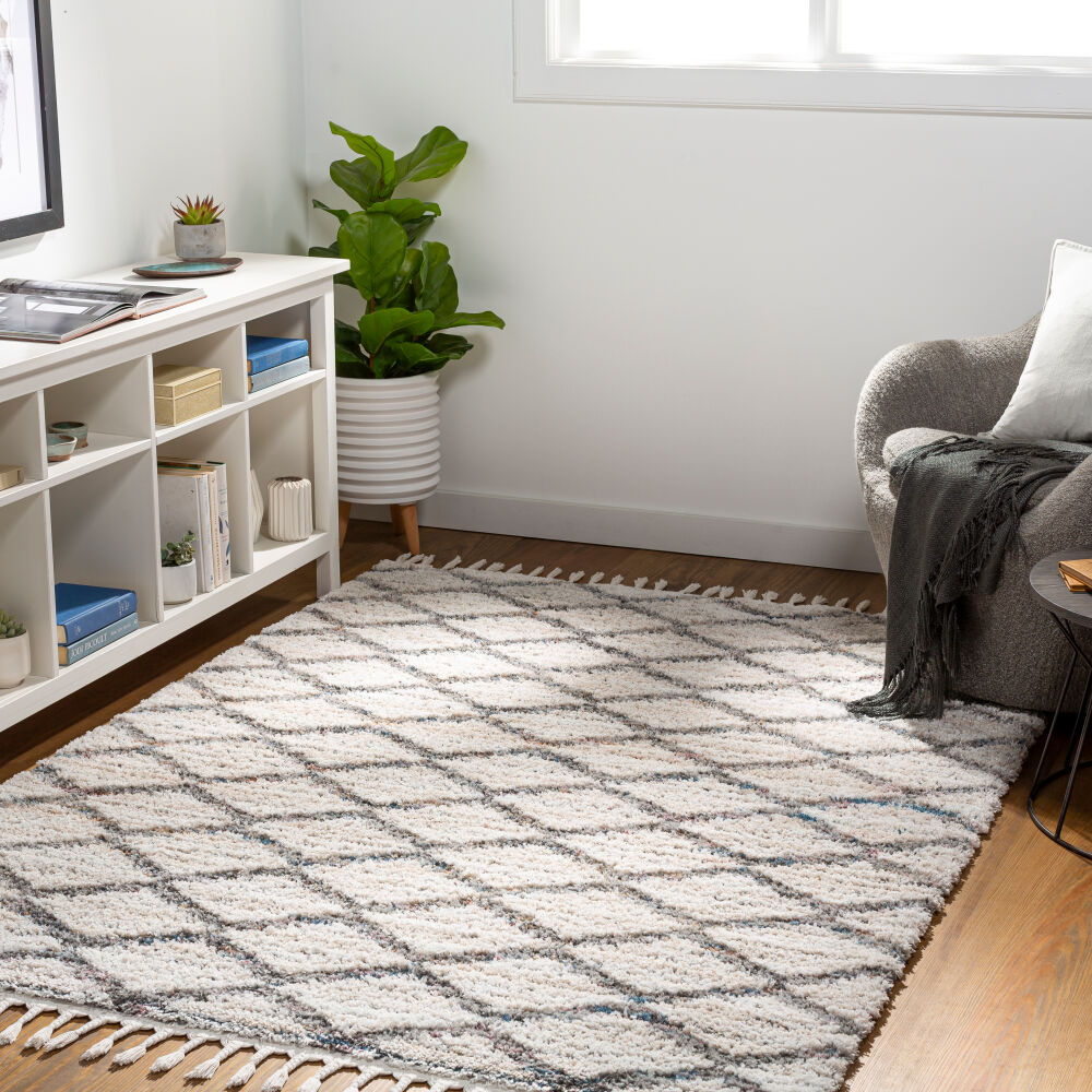 Lyon Machine Woven Rug