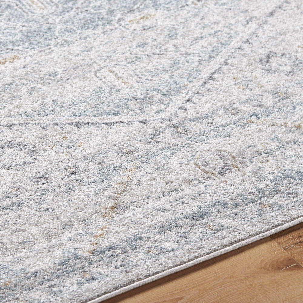 Alpharetta Machine Woven Rug