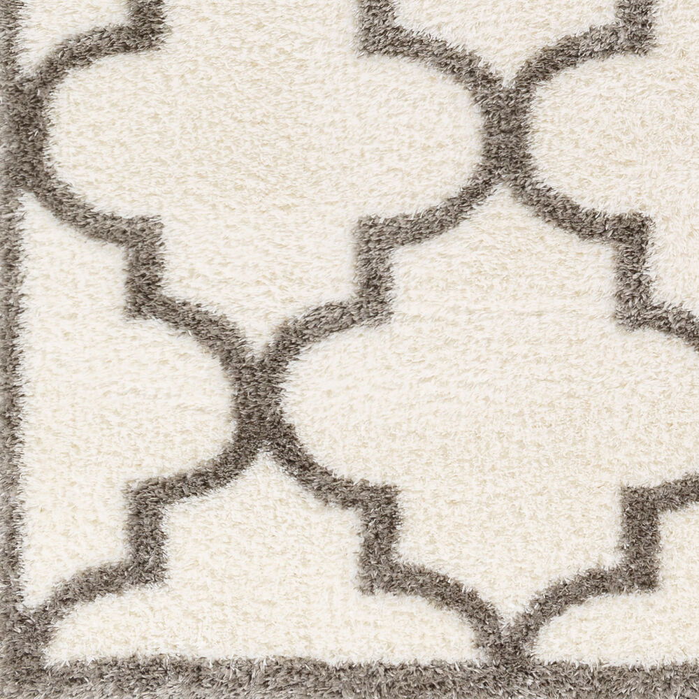 Cloudy Shag Machine Woven Rug