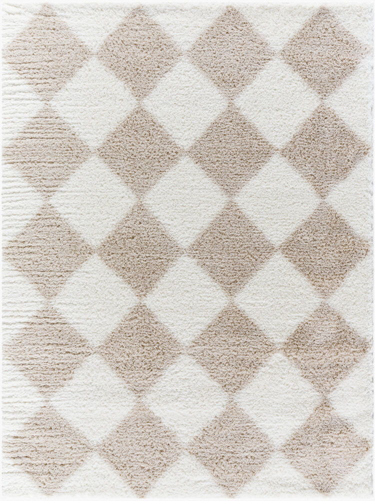 Cloudy Shag Machine Woven Rug