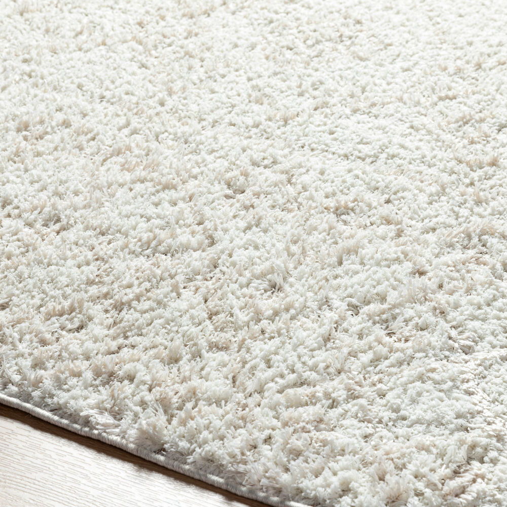 Maryland Shag Machine Woven Rug