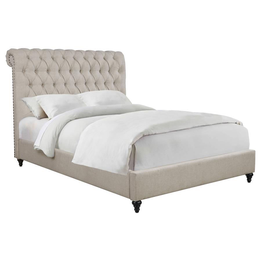 Coaster Fine Furniture Devon - Upholstered Panel Bed | Meri Furniture