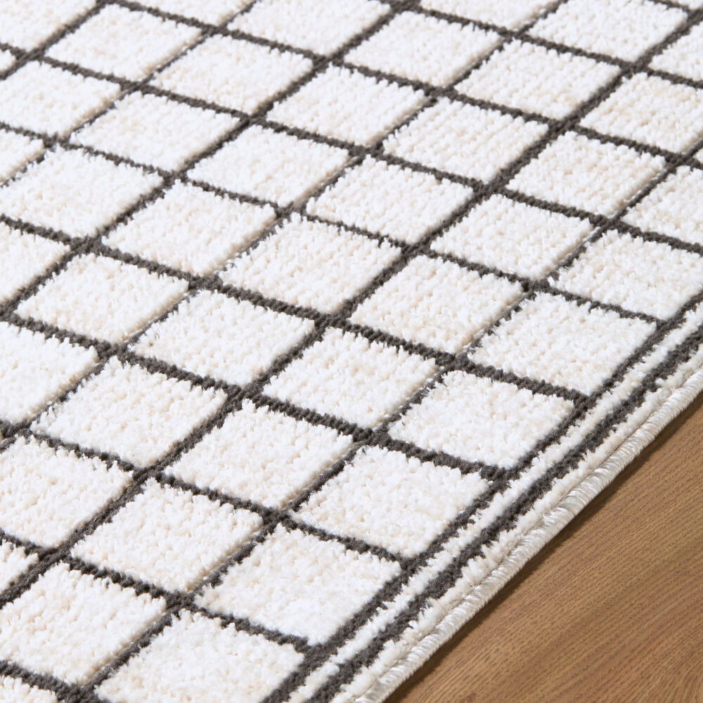 Odeon Machine Woven Rug