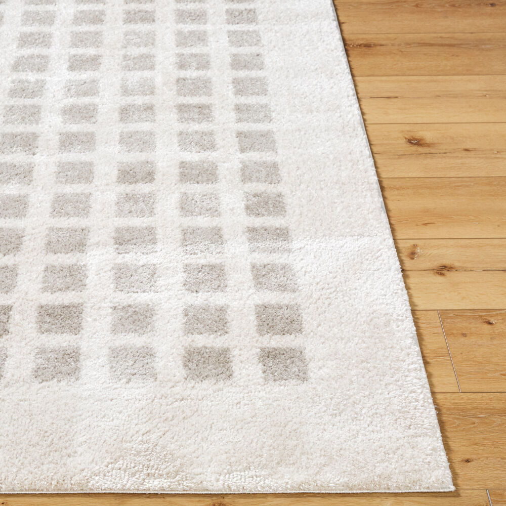 Fossay Shag Machine Woven Rug