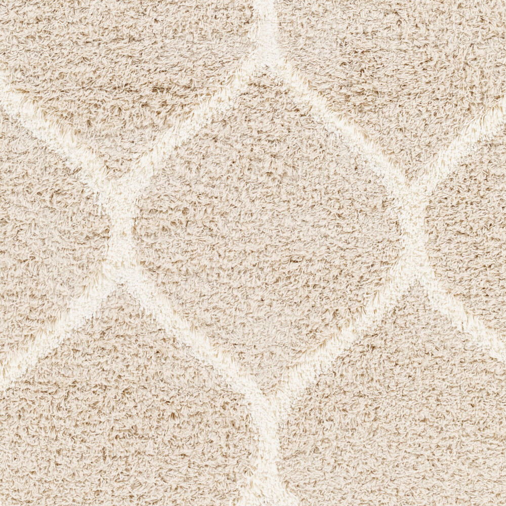 Urban Shag Machine Woven Rug