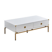 Elegant White Coffee Table