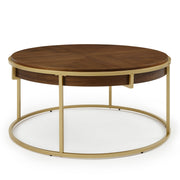 Modern Round Coffee Table with Brown Top