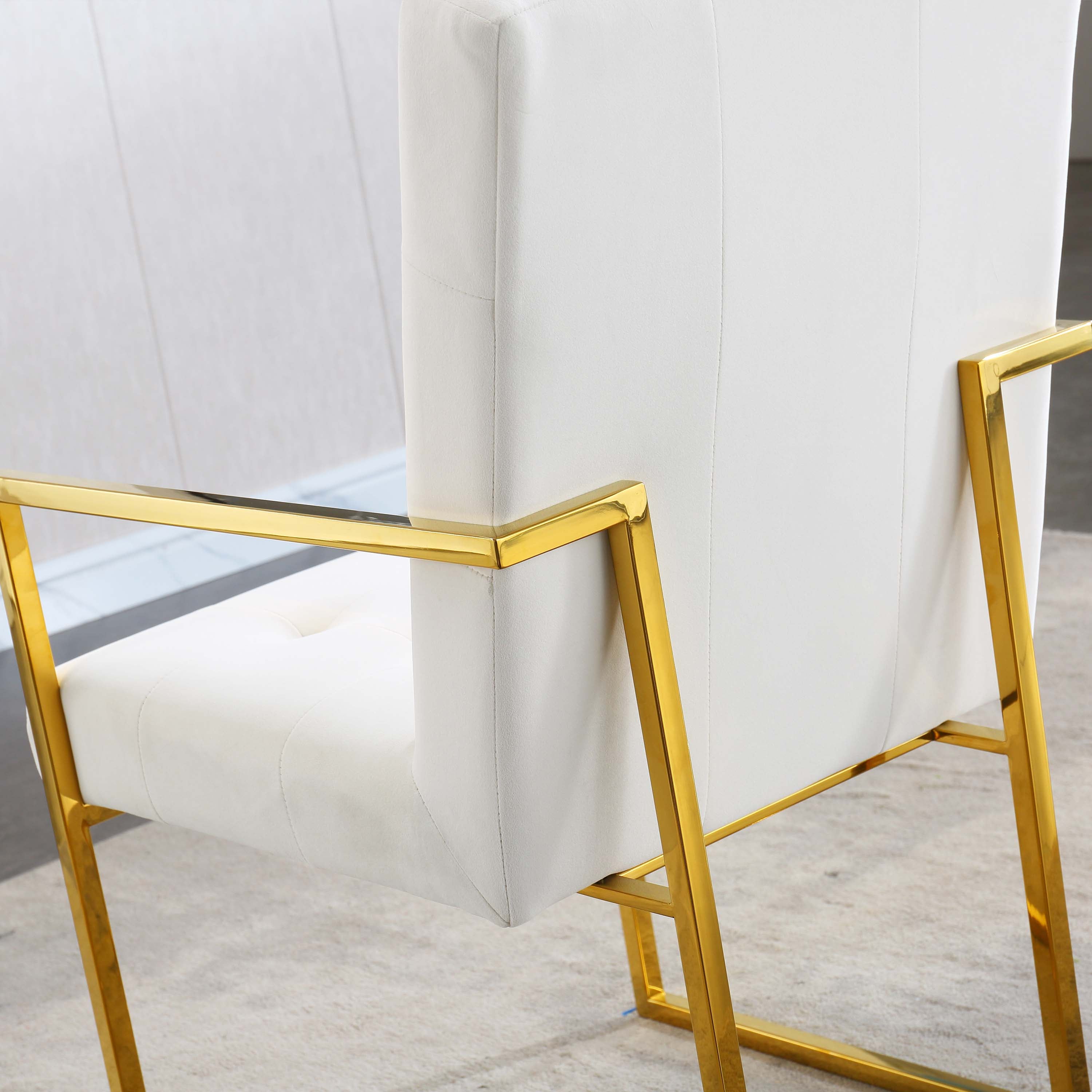 Luxurious Dining Chair with Stainless Steel