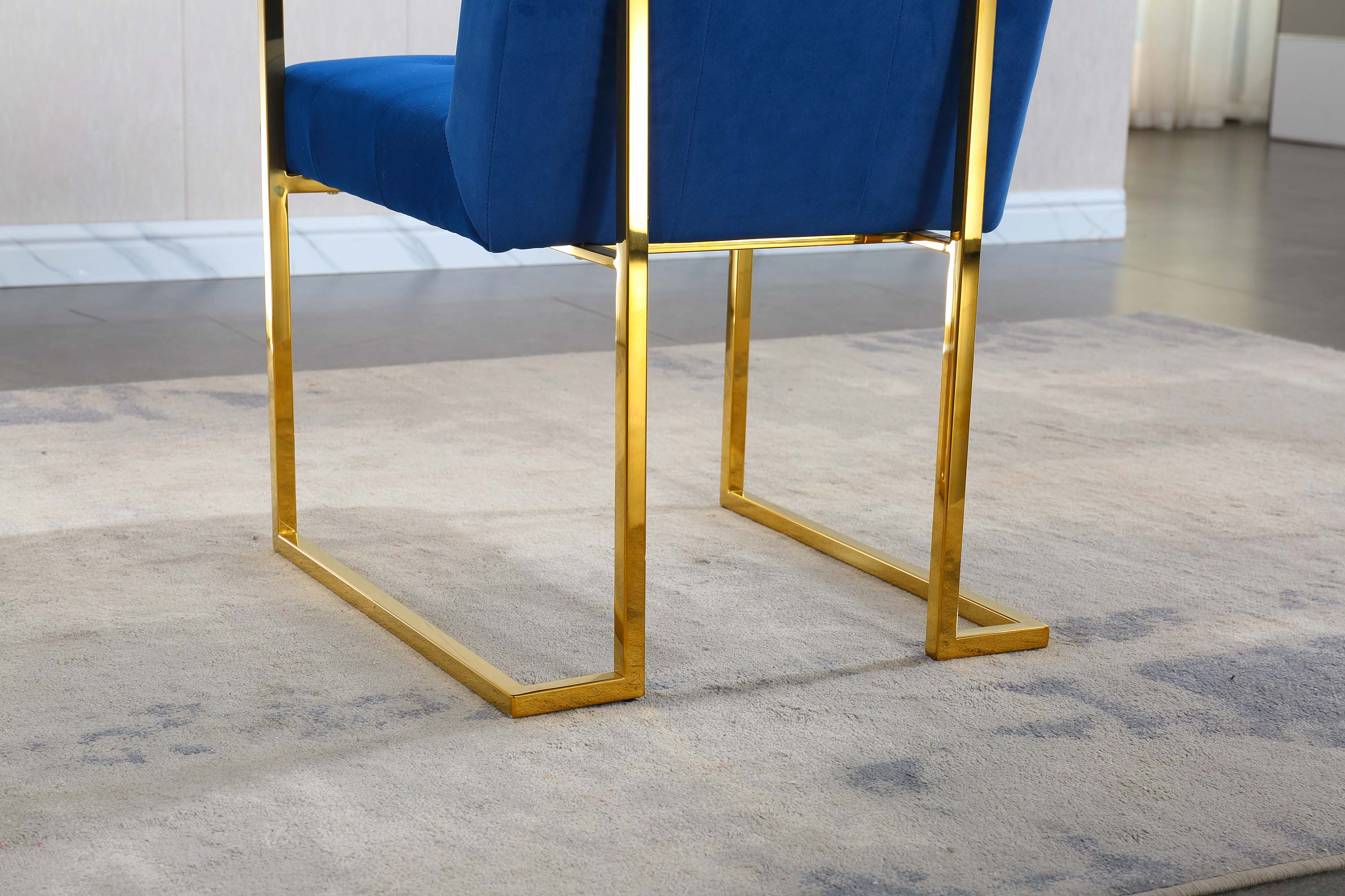 Luxurious Dining Chair with Stainless Steel