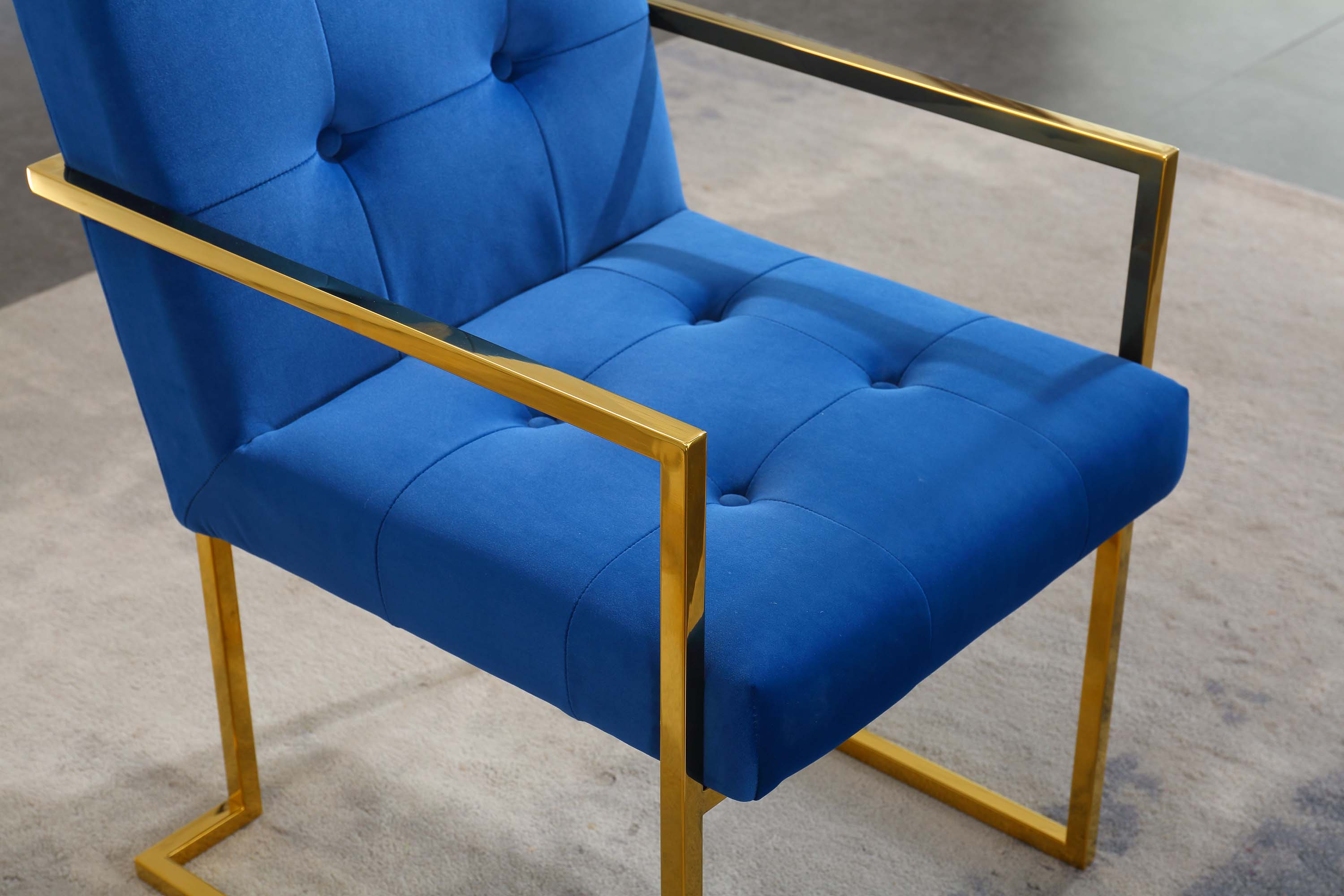 Luxurious Dining Chair with Stainless Steel