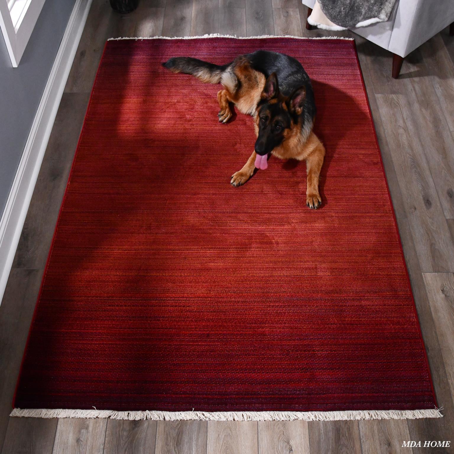 MDA Furniture ANNA Area Rug - 7'7'' x 10' - AA03810 | Meri Furniture