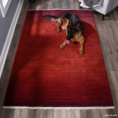 ANNA Area Rug - 7'7'' x 10' - AA03810 image