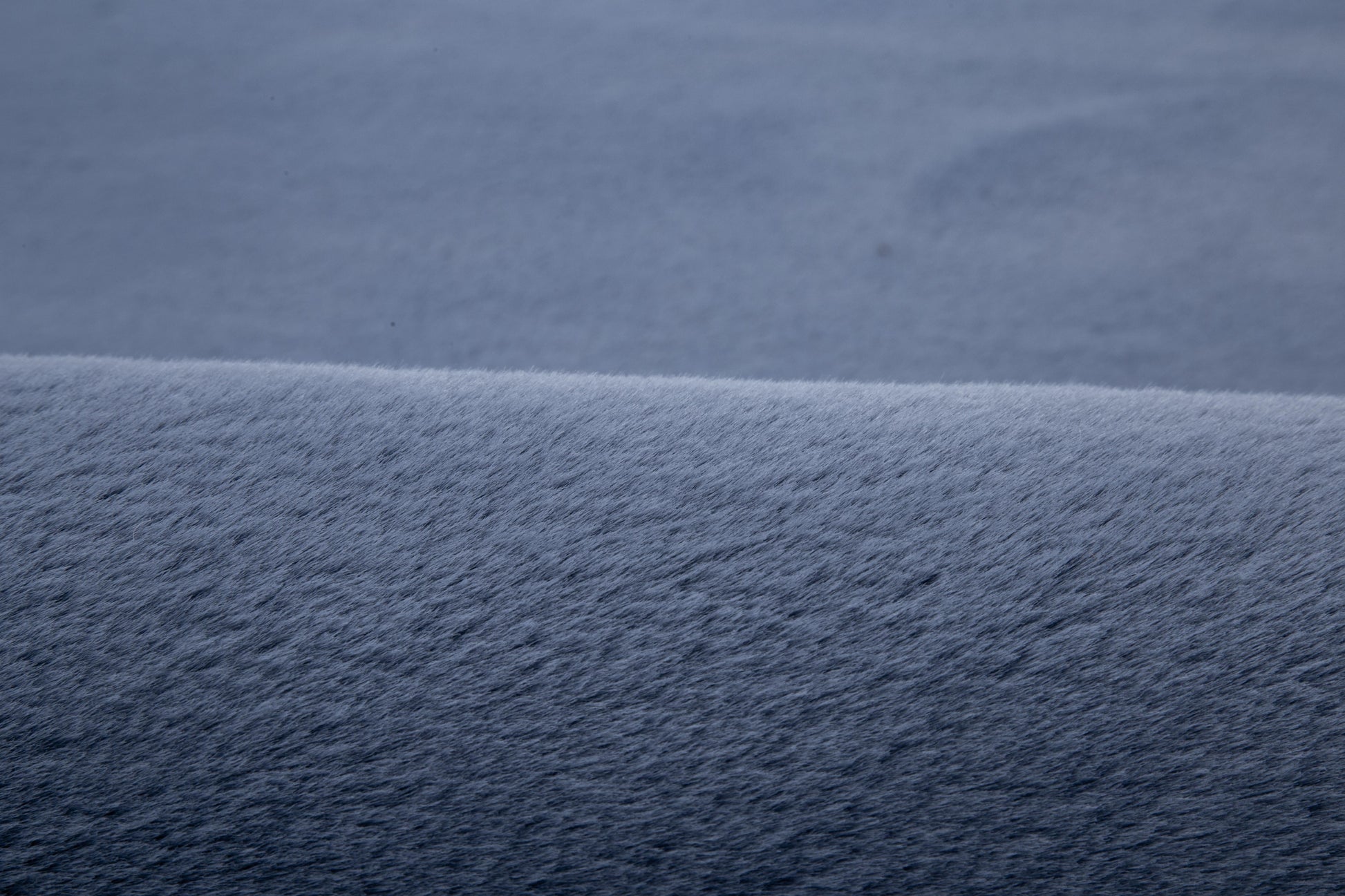 MDA Furniture RABBIT Area Rug - 3'6'' x 5'6'' - RB1046 | Meri Furniture