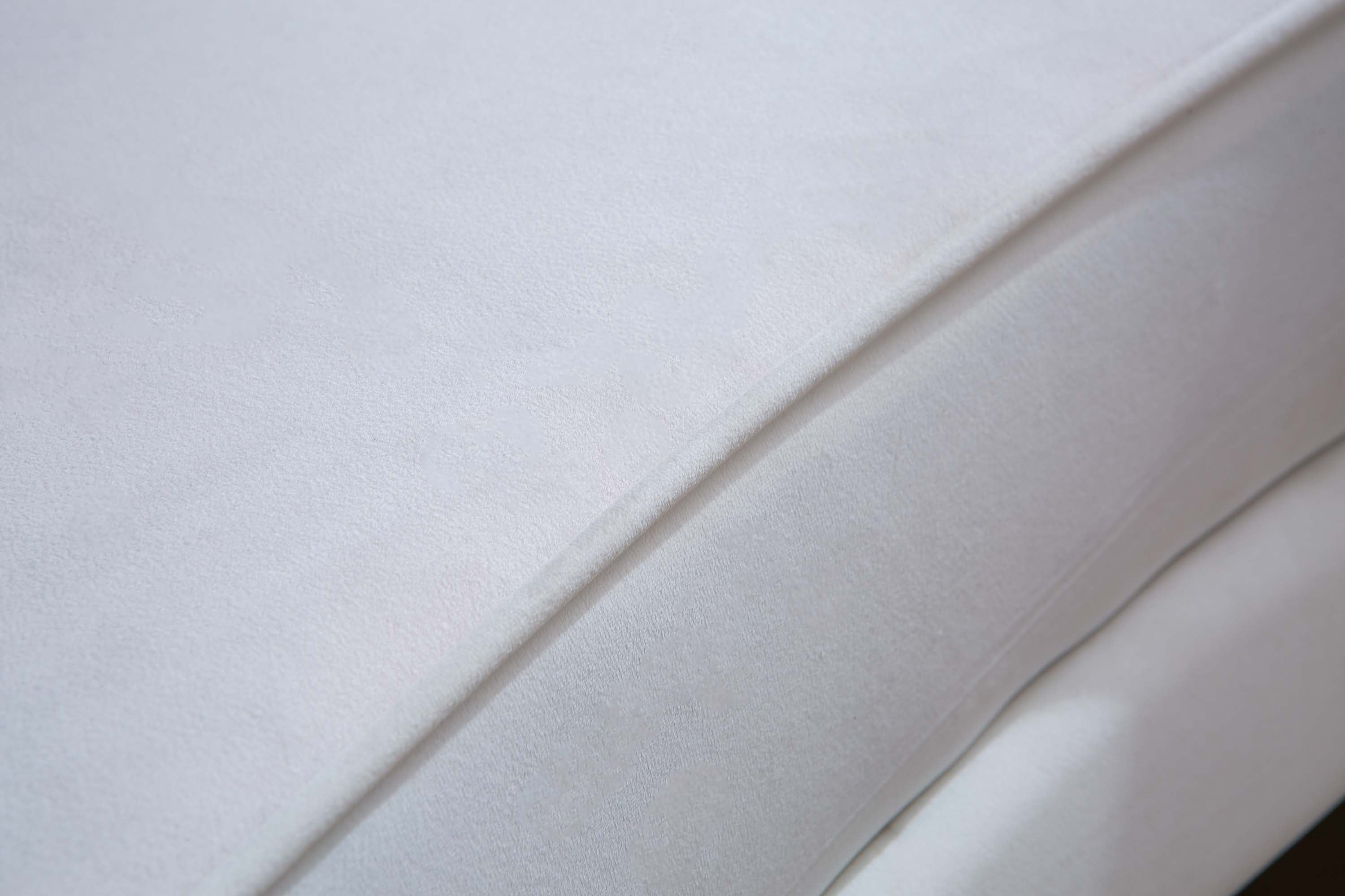 Luxurious Velvet Sofa with Solid Wood Structure