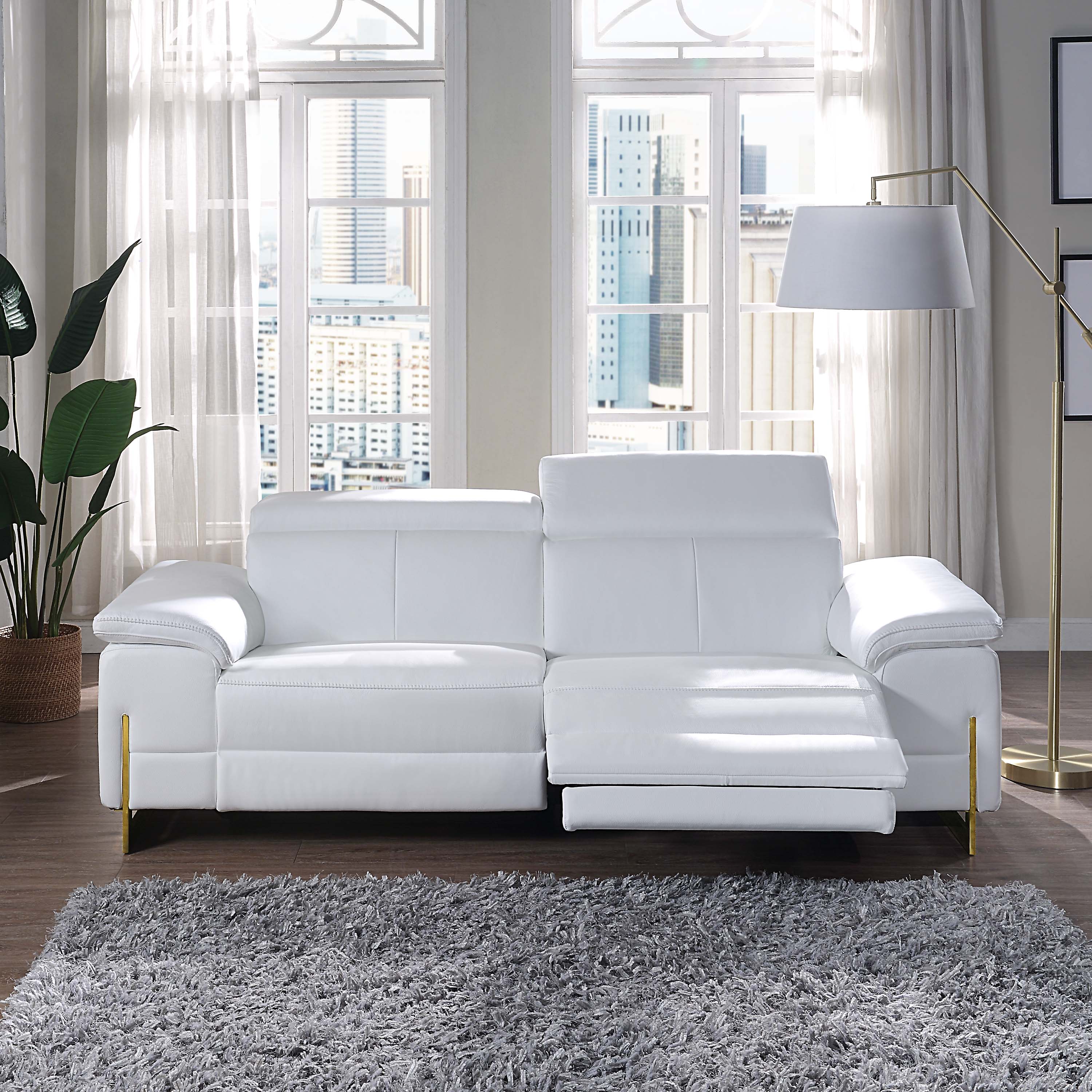 Luxury Reclining Genuine Leather Loveseat/Sofa