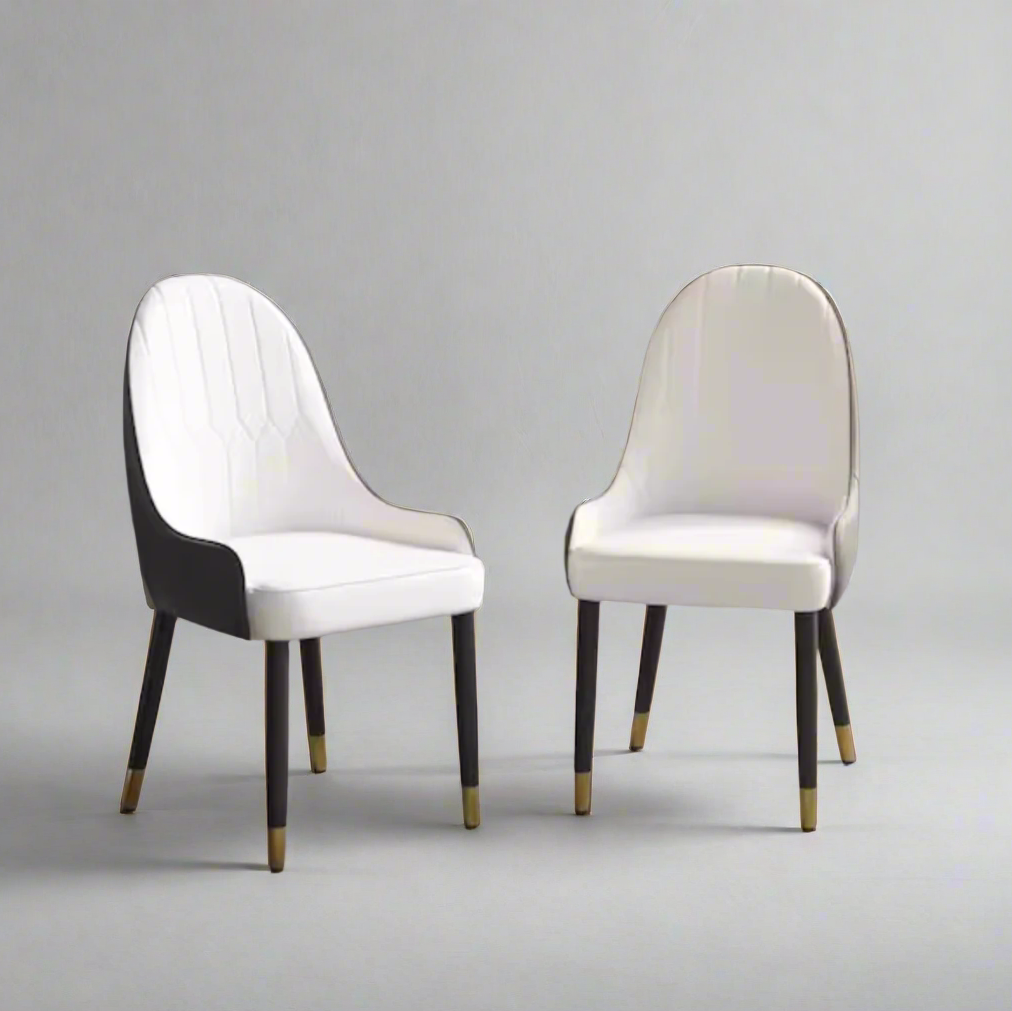 Set of 2 Modern Dining Chair
