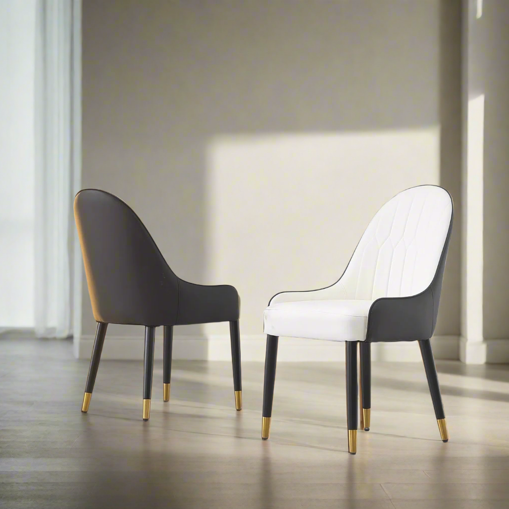 Set of 2 Modern Dining Chair