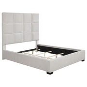 Coaster Fine Furniture Panes - Upholstered Panel Bed | Meri Furniture