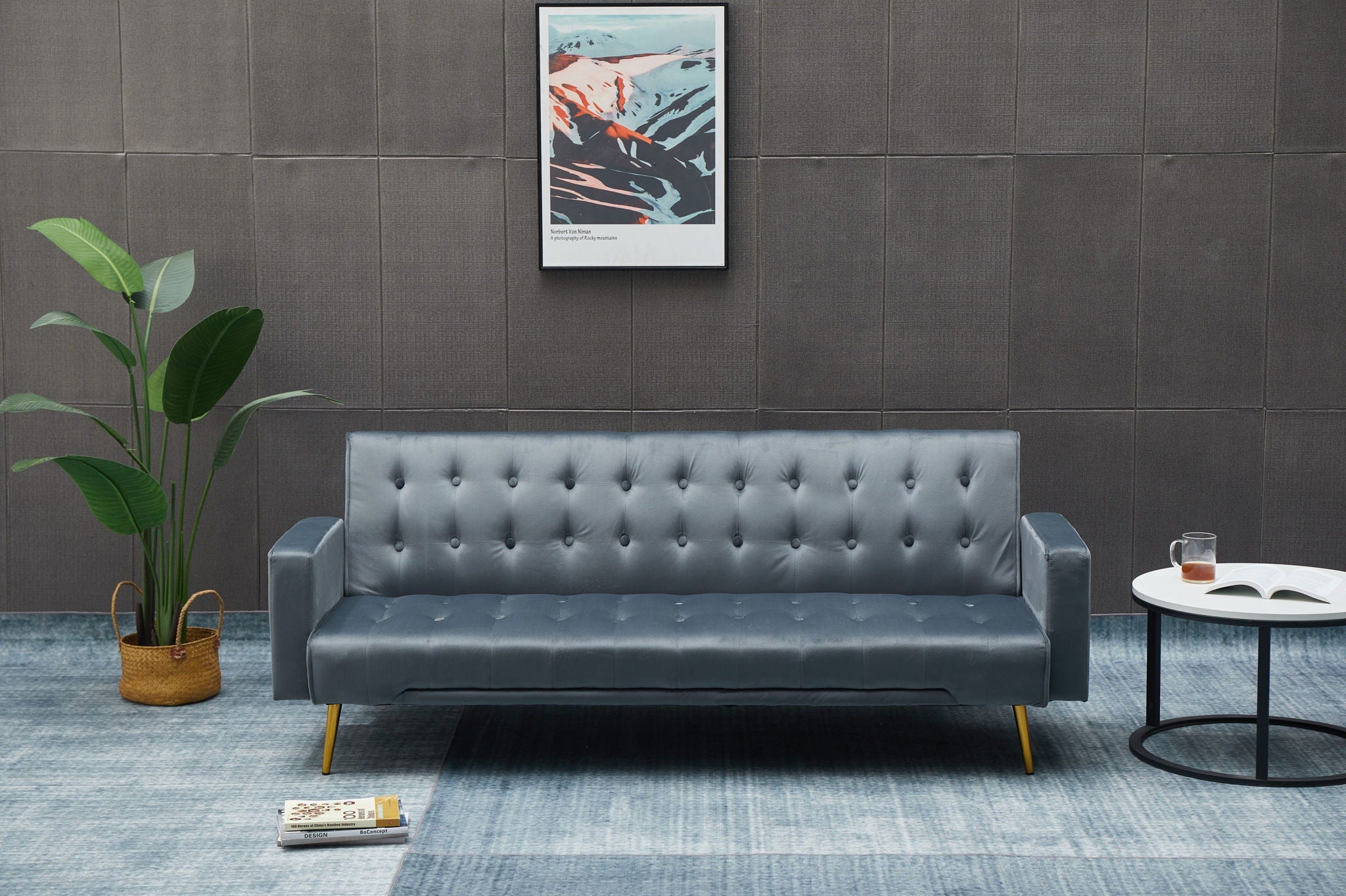 Comfort Compact Design Sofa Bed