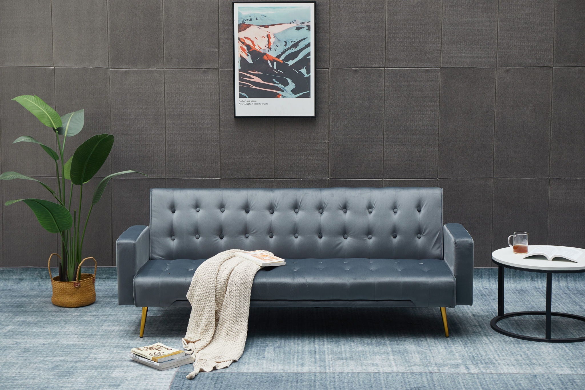 Comfort Compact Design Sofa Bed