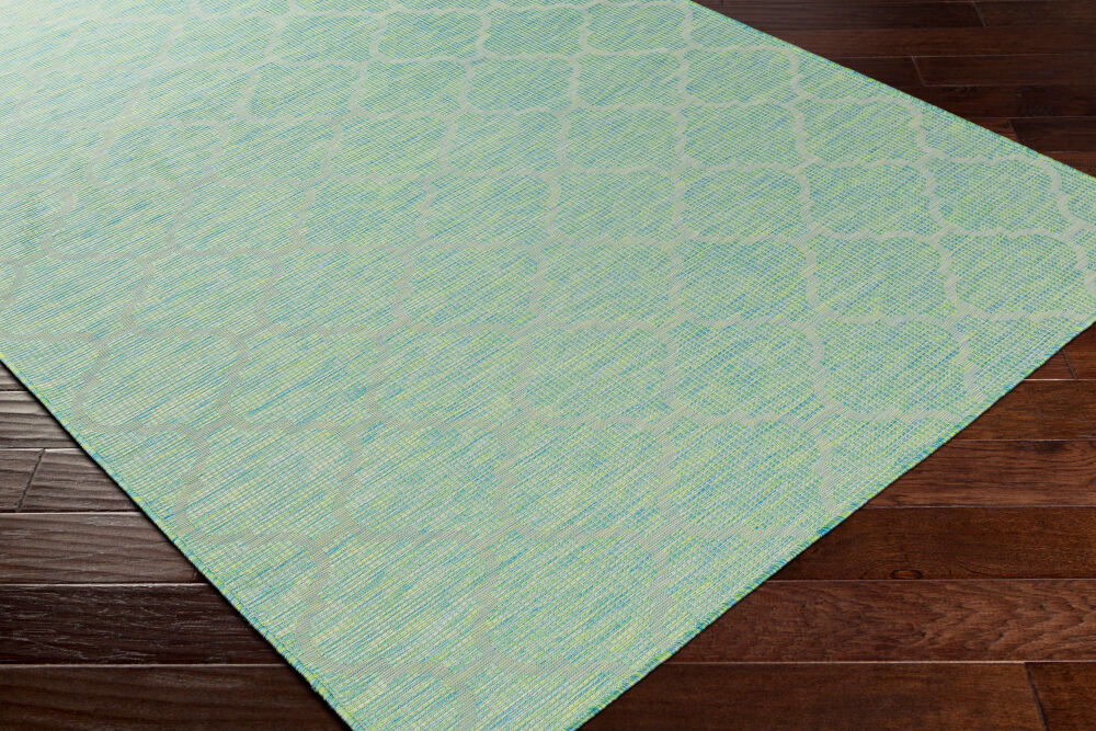 Pasadena Machine Woven Rug