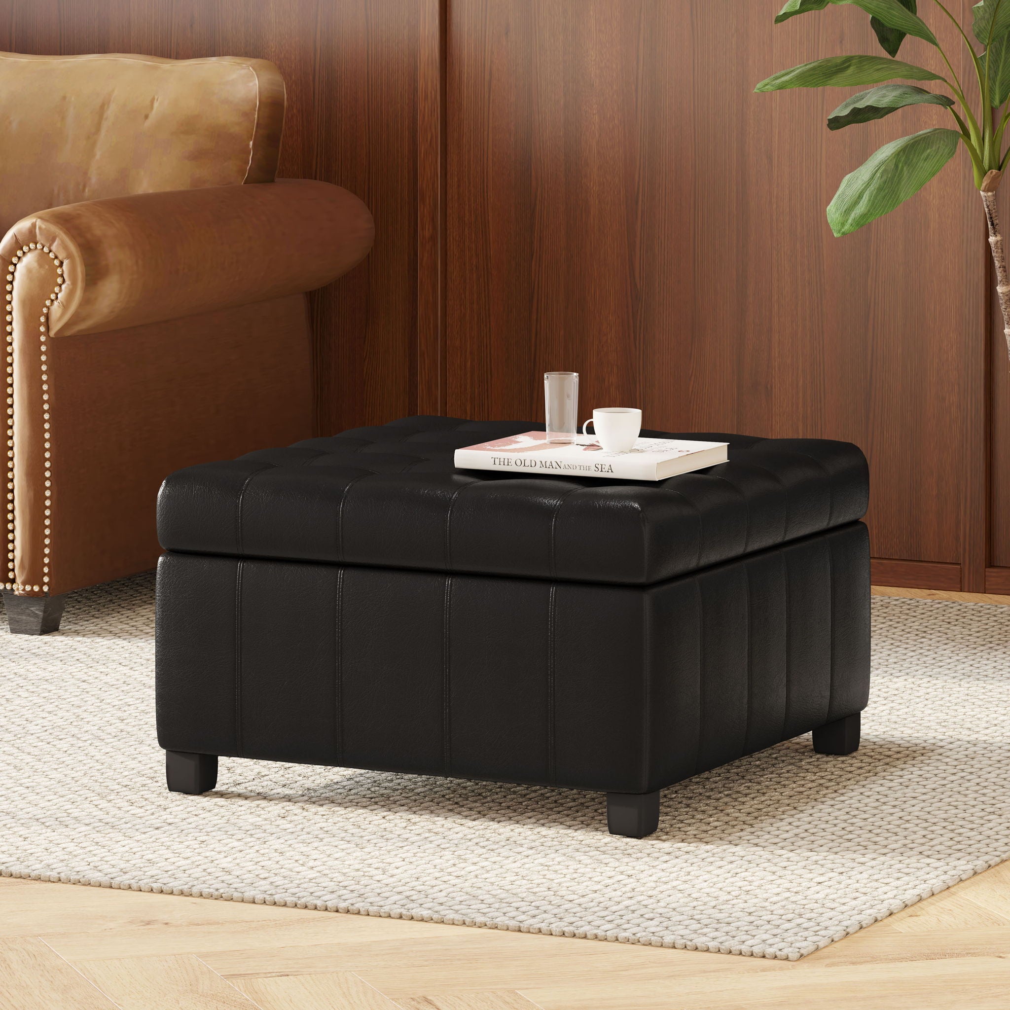 Storage Ottoman For Living Room