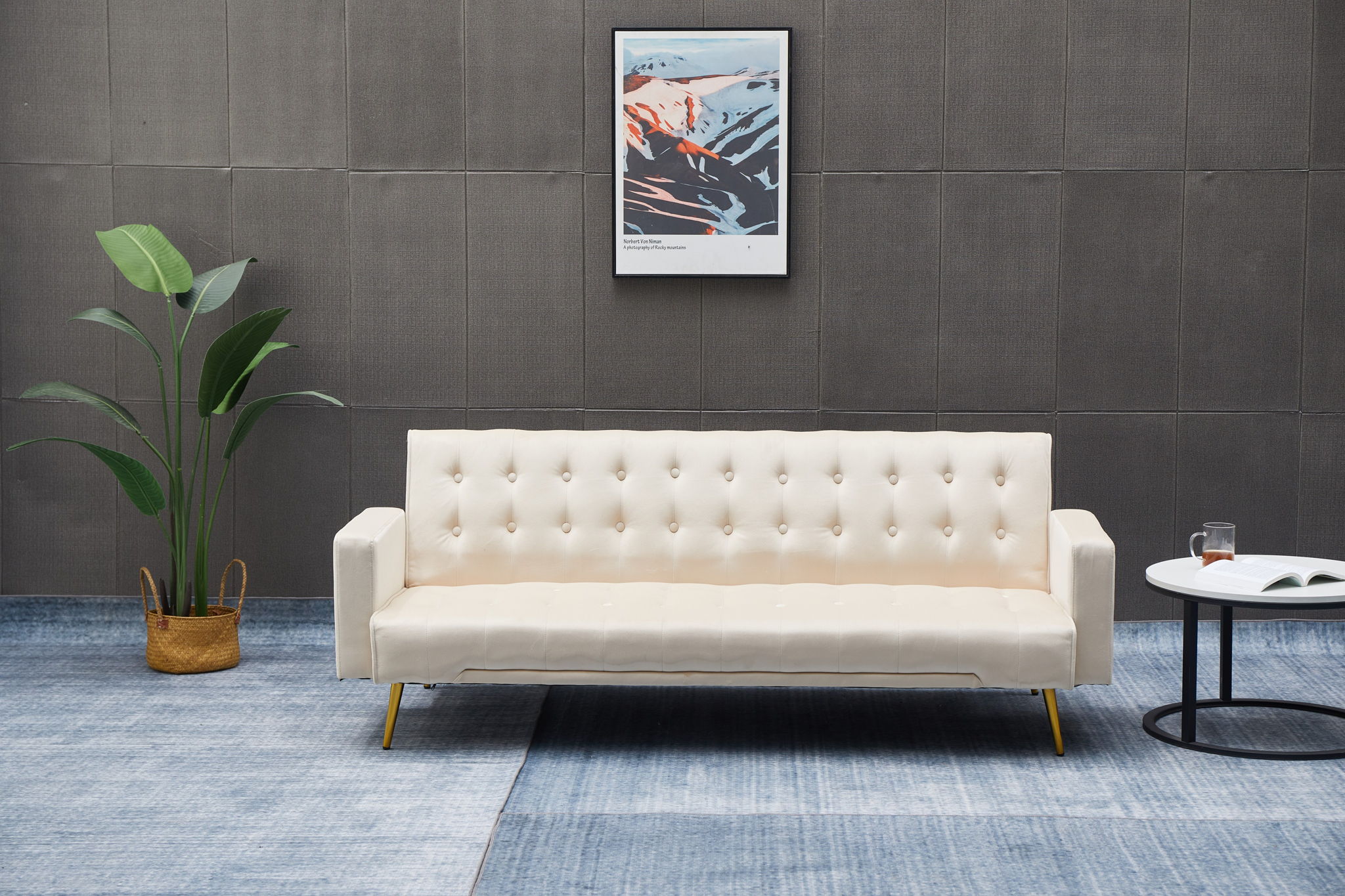 Comfort Compact Design Sofa Bed