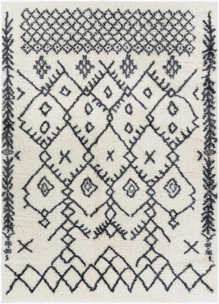 Aliyah Shag Machine Woven Rug