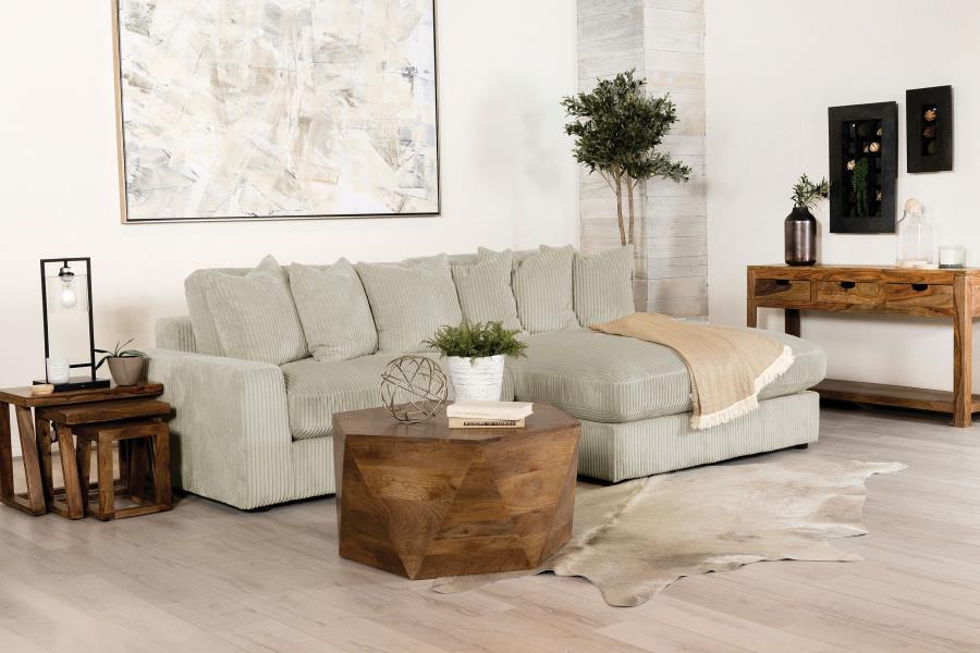 Coaster Fine Furniture Blaine - Upholstered Reversible Chaise Sectional Sofa | Meri Furniture