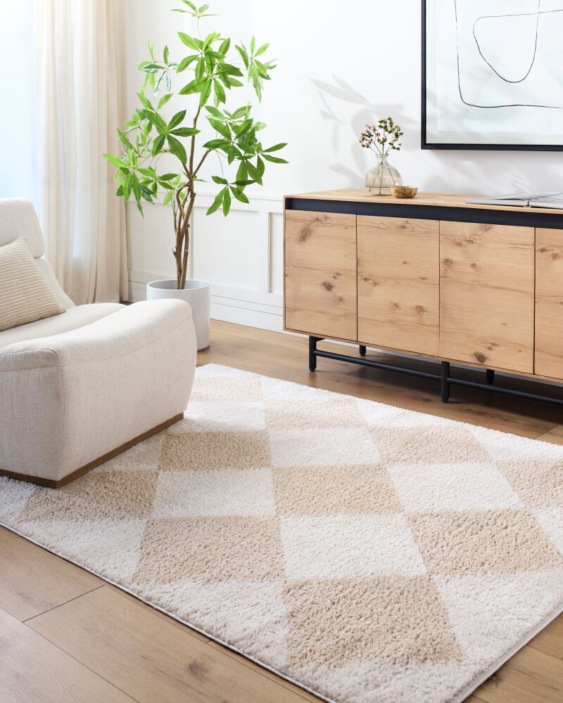 Fossay Shag Machine Woven Rug